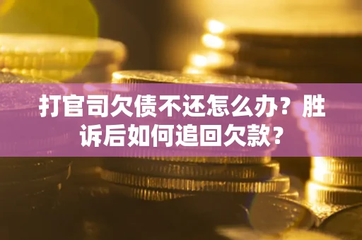 武汉打官司欠债不还怎么办？胜诉后如何追回欠款？