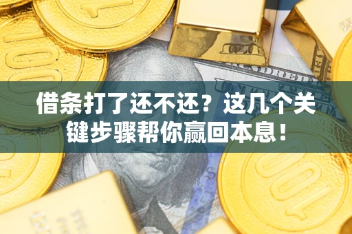武汉借条打了还不还？这几个关键步骤帮你赢回本息！