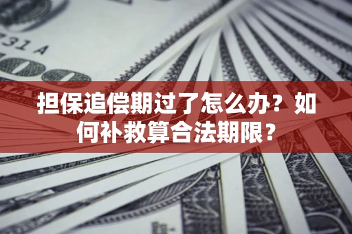 武汉担保追偿期过了怎么办？如何补救算合法期限？
