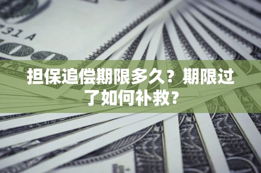 武汉担保追偿期限多久？期限过了如何补救？