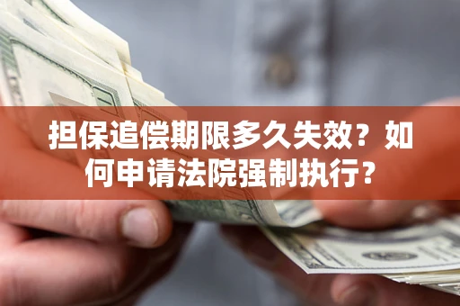 武汉担保追偿期限多久失效？如何申请法院强制执行？