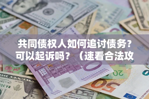 武汉共同债权人如何追讨债务？可以起诉吗？（速看合法攻略）