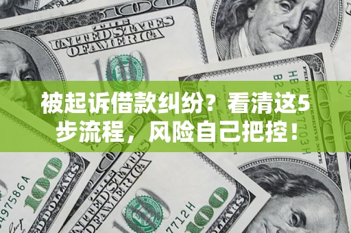武汉被起诉借款纠纷？看清这5步流程，风险自己把控！
