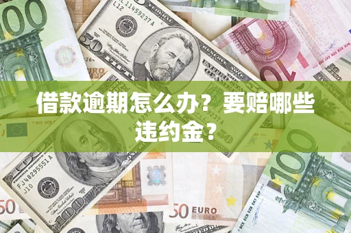 武汉借款逾期怎么办？要赔哪些违约金？
