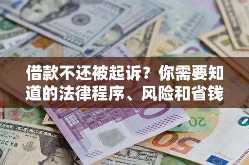 武汉借款不还被起诉？你需要知道的法律程序、风险和省钱技巧